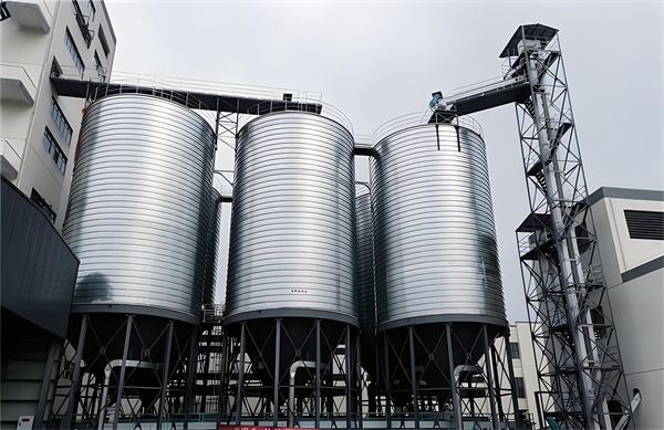 1711350765929660.jpg 96e16108-2401-4def-a454-82b95a9ca917.jpg